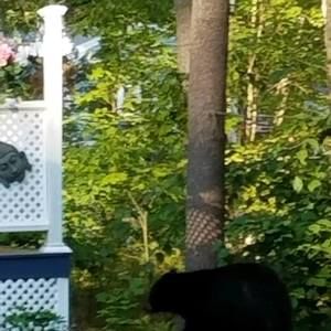 Meet your Posher, Sherry